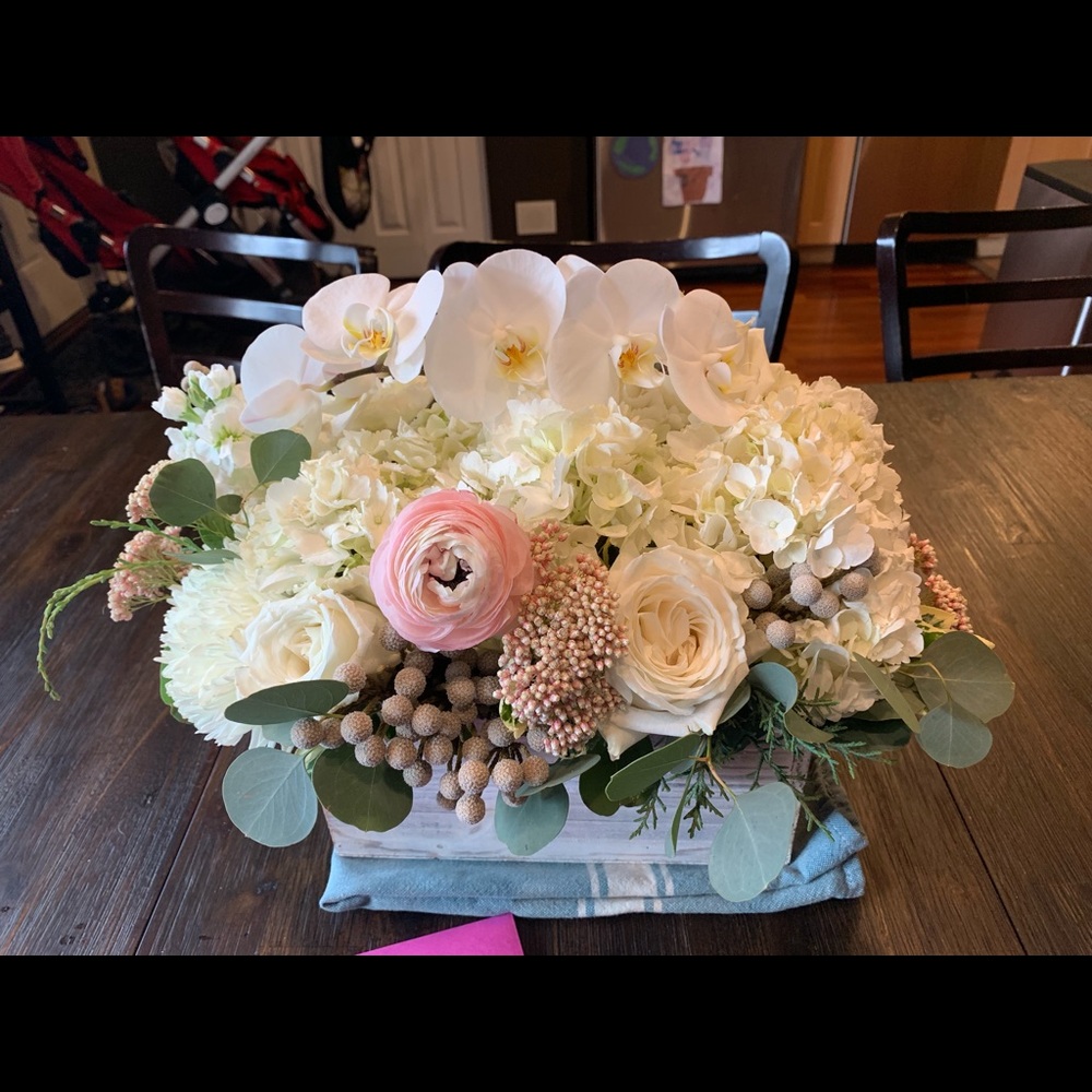 Meet your Posher, kimmie